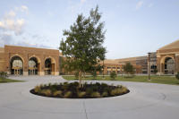 © 2025 Michael Lyon Photography - Mason, Texas