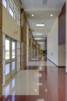 © 2025 Michael Lyon Photography - Mason, Texas