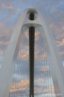 © Michael Lyon Photography - Dallas, Texas