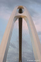 © Michael Lyon Photography - Dallas, Texas