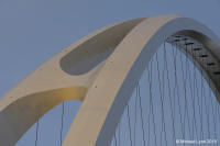 © Michael Lyon Photography - Dallas, Texas