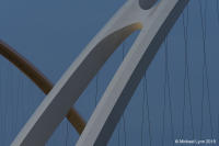 © Michael Lyon Photography - Dallas, Texas