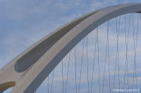 © Michael Lyon Photography - Dallas, Texas