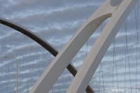 © Michael Lyon Photography - Dallas, Texas