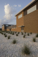 © 2025 Michael Lyon Photography - Mason, Texas