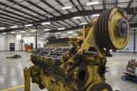 © 2025 Michael Lyon Photography - Mason, Texas