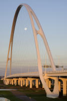 © Michael Lyon Photography - Dallas, Texas