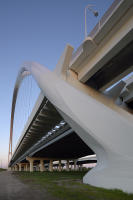 © Michael Lyon Photography - Dallas, Texas
