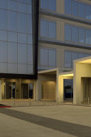 © 2025 Michael Lyon Photography - Mason, Texas