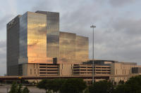 © 2025 Michael Lyon Photography - Mason, Texas