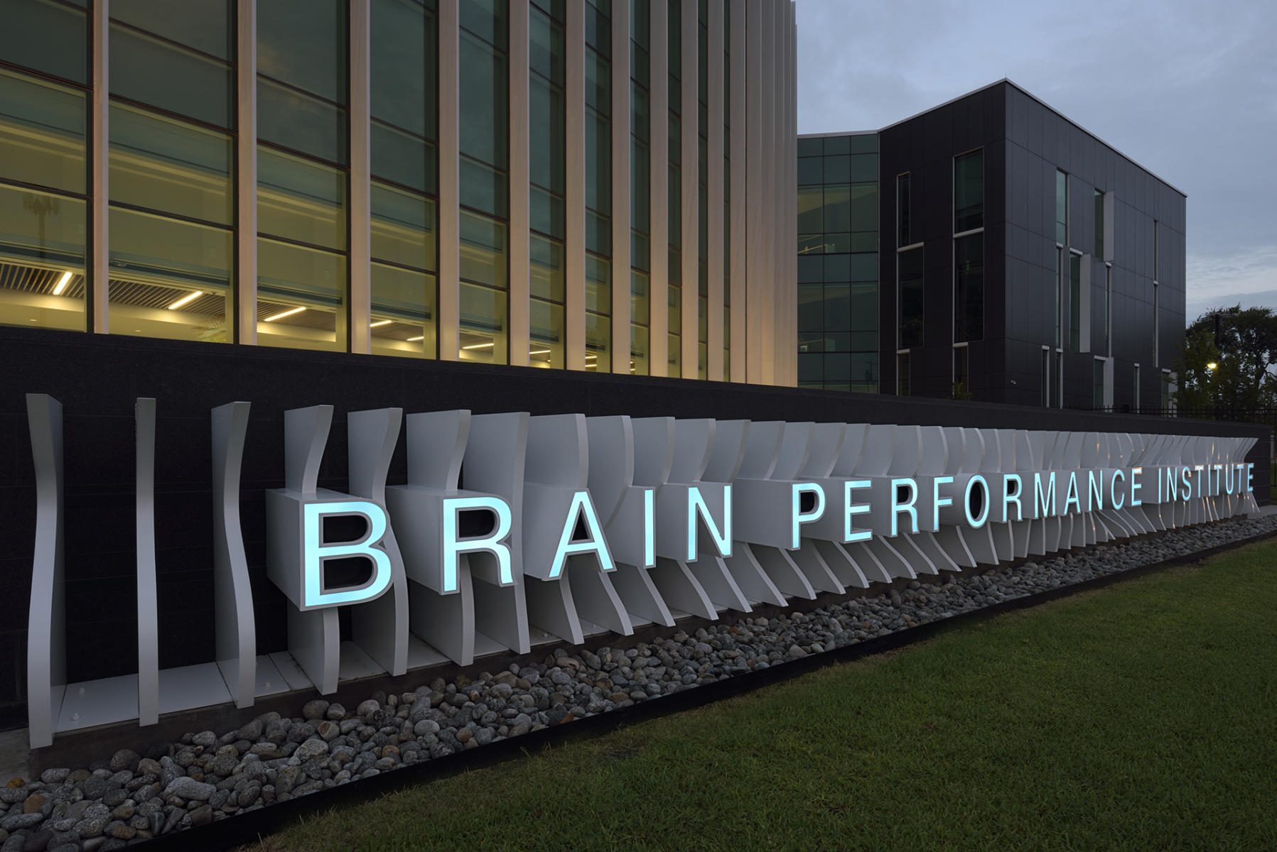 7_268602 / UTD - Brain Performance Institute