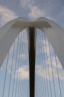 © Michael Lyon Photography - Dallas, Texas