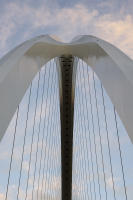 © Michael Lyon Photography - Dallas, Texas
