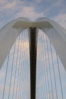 © Michael Lyon Photography - Dallas, Texas