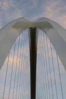 © Michael Lyon Photography - Dallas, Texas