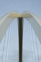 © Michael Lyon Photography - Dallas, Texas