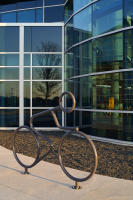 © 2025 Michael Lyon Photography - Mason, Texas