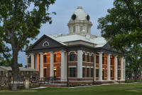 © 2025 Michael Lyon Photography - Mason, Texas